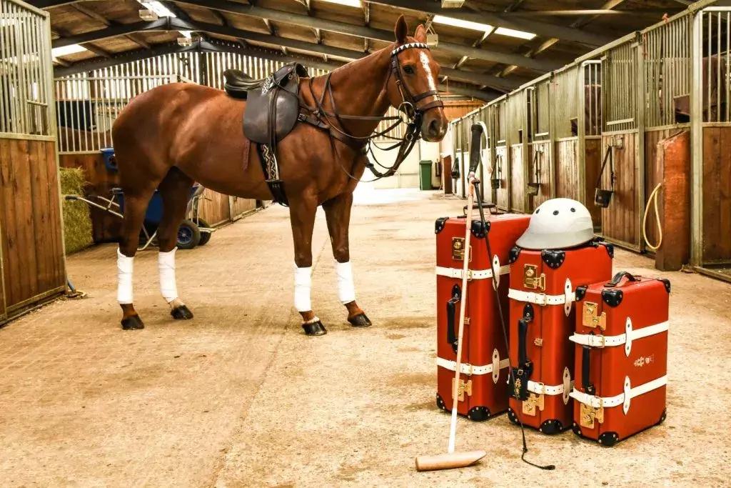 rimowa最好看的行李箱,行李箱推荐rimowa