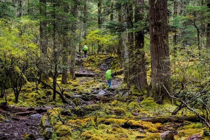 九寨沟什么最美,川西九寨沟最好的风景