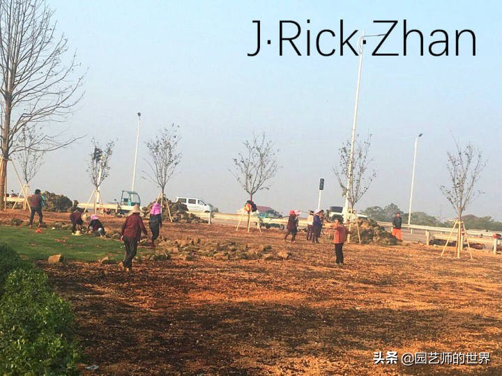 怎样种植草坪技术,果岭草坪的种植养护方法及技巧