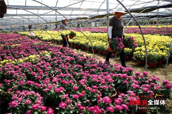 乡村振兴产业园招商项目简介,乡村振兴农业示范园牌子效果图