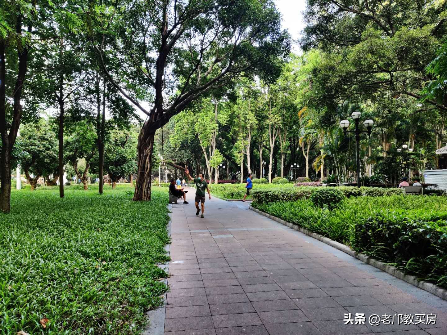 越秀区性价比最高的学位房,越秀名校学位