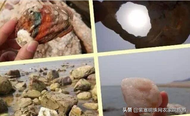 长岛好渔家,长岛当地渔家特色美食餐饮攻略