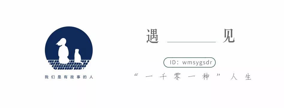 云养猫真的有必要吗 (真正的云养猫)