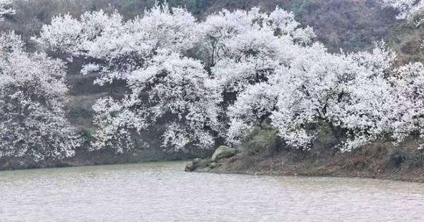 鑻忓繝璇楁瓕,鑻忓繝璇楁瓕浣滃搧