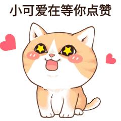 狗狗没食欲、日渐消瘦?猫咪没精神?是什么原因导致的?