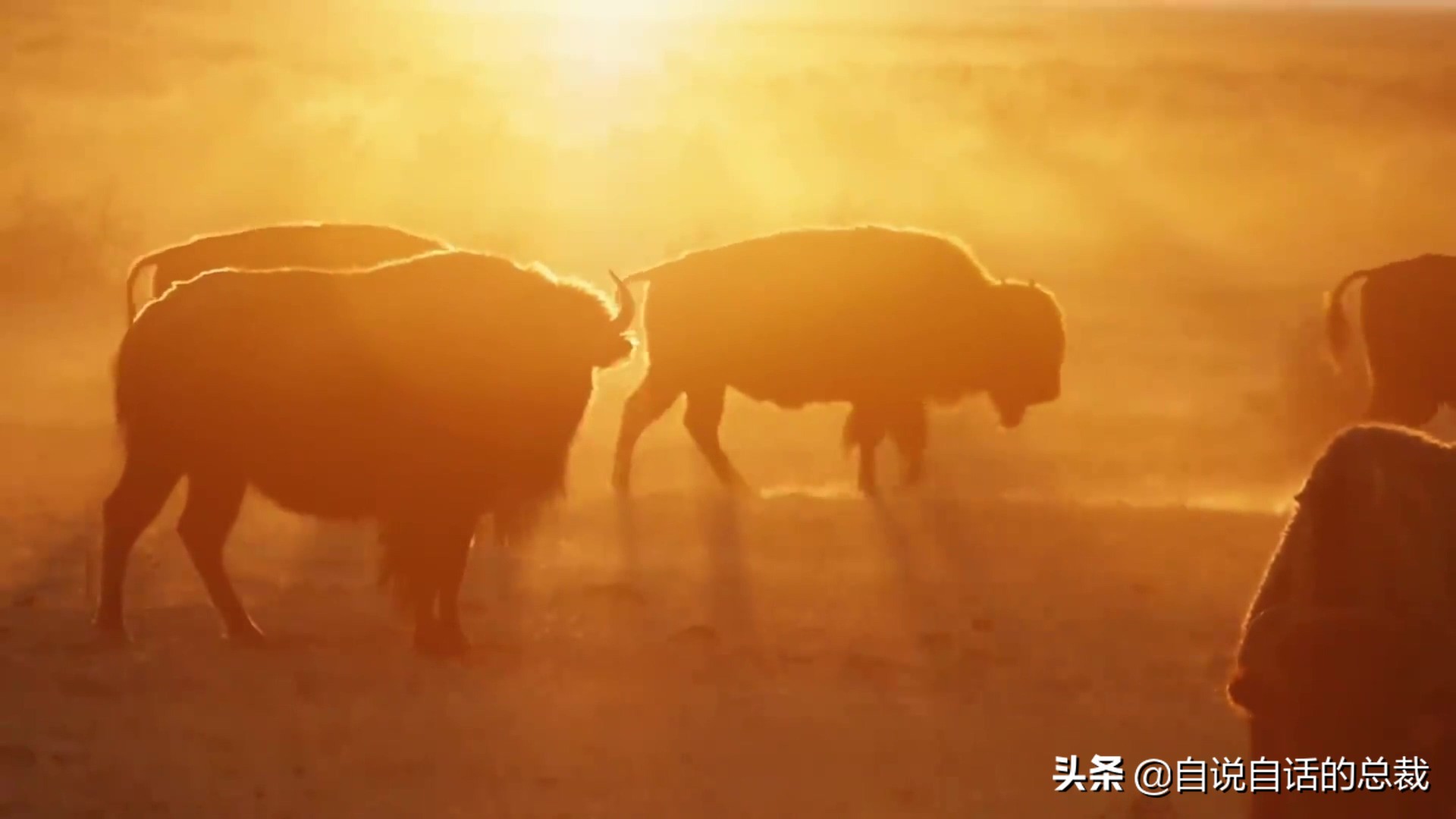 阿努纳奇创造人类7次文明,阿努纳奇人类起源