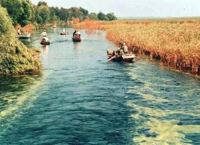 我的老班长唱谱,我的老班长原唱完整版