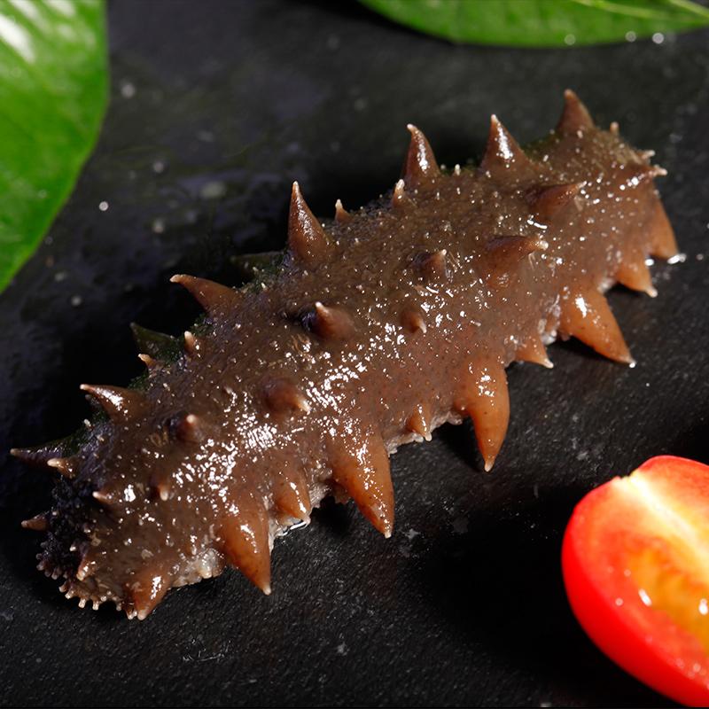 哪个产地的海参最好,国内哪些地方产的海参最好