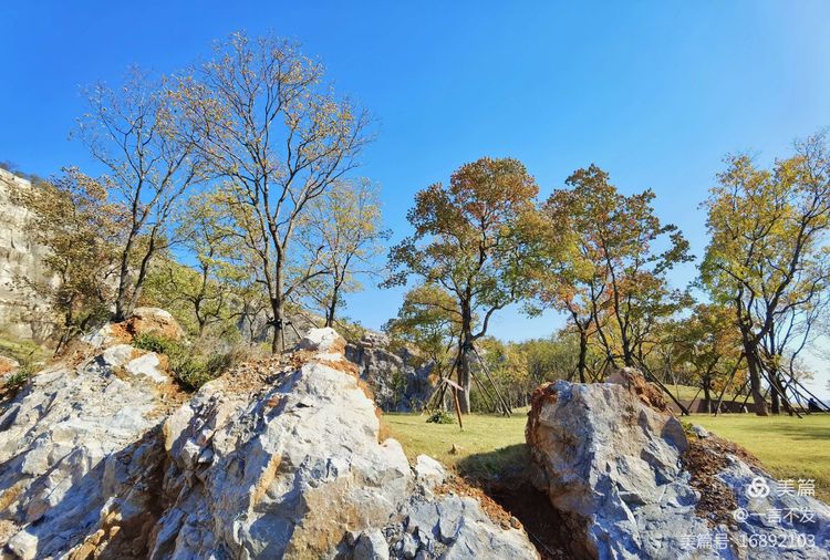 南京园博园时光亦谷游玩攻略路线,紫清湖和园博园哪个值得一去
