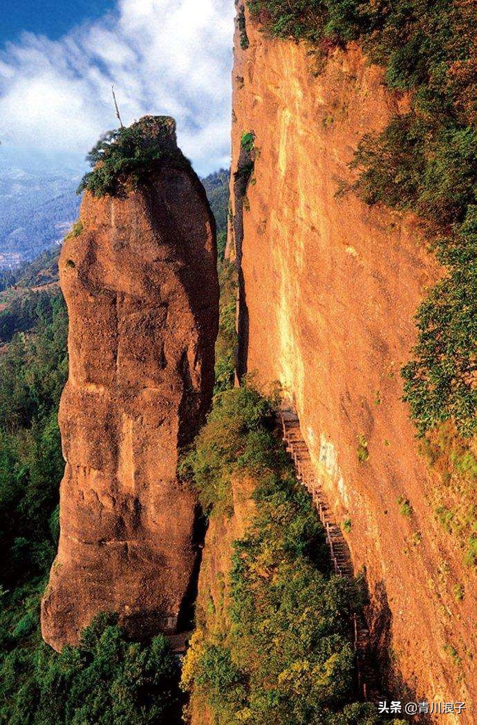 剑门关的“皇豆”是咋回事儿？