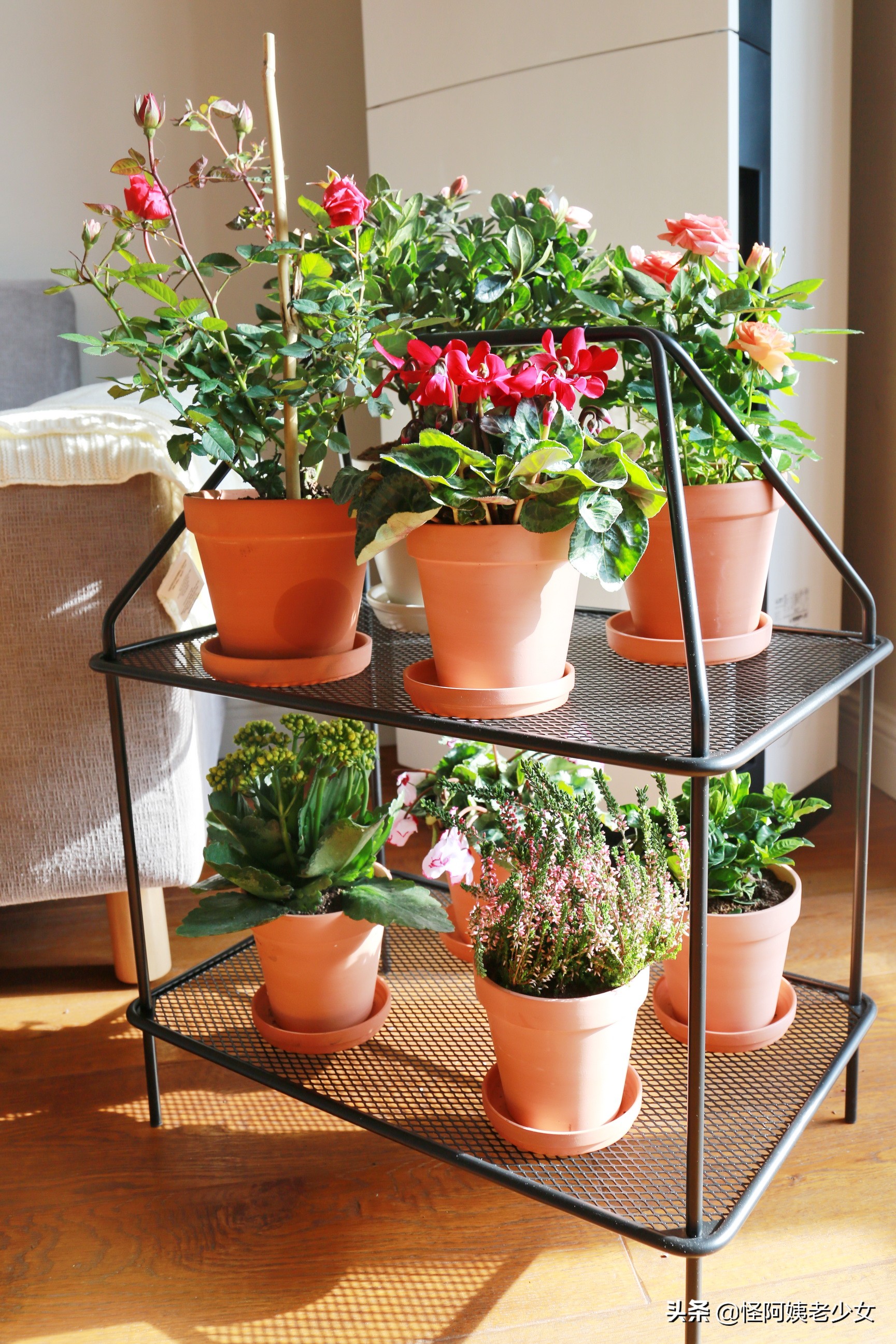 宜家超多好物推荐,宜家好用的好物推荐