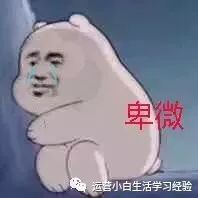 干货分享新手从零开始入门自媒体,微信公众号策划运营方案完整版