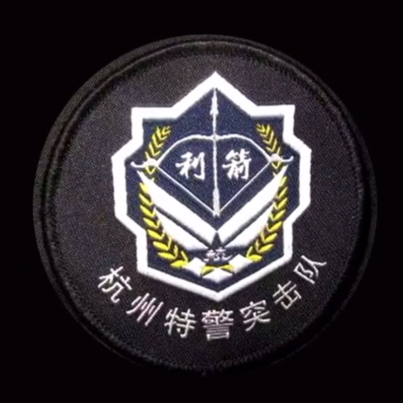 全国各个城市特警队臂章,公安特警帅图