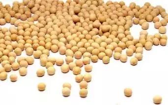 酵素真的那么神吗视频,酵素的本质是菌吗