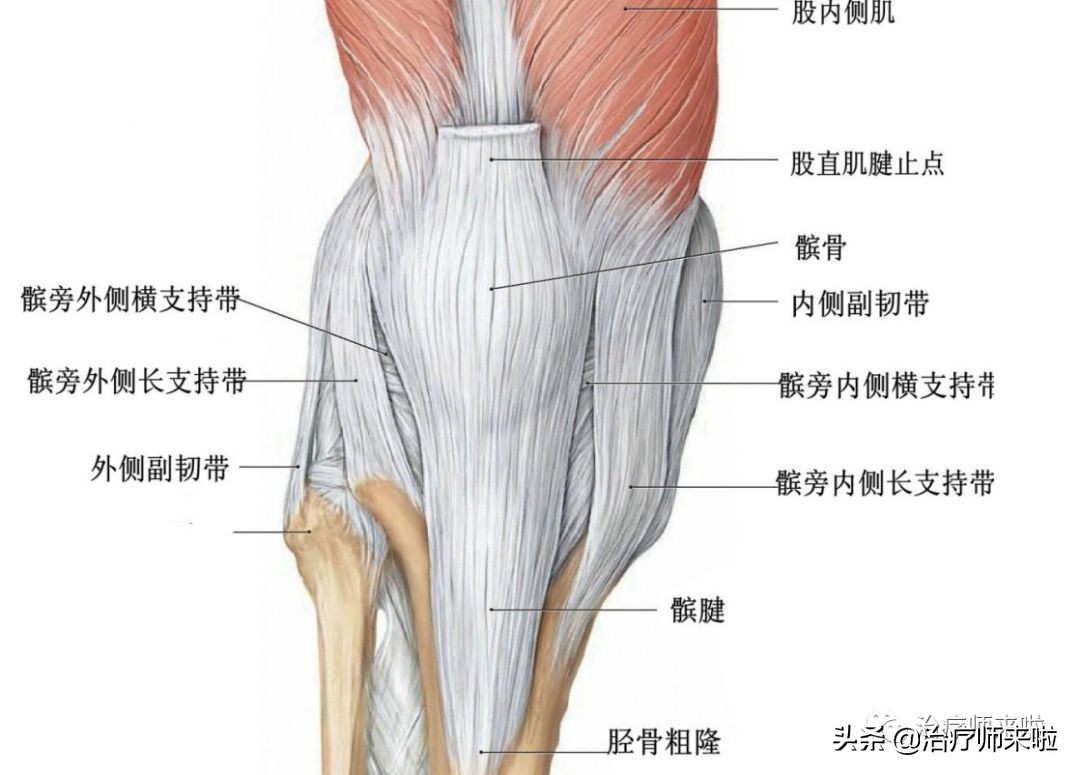 髌骨习惯性脱位手术多少钱,髌骨习惯性脱位韧带重建术