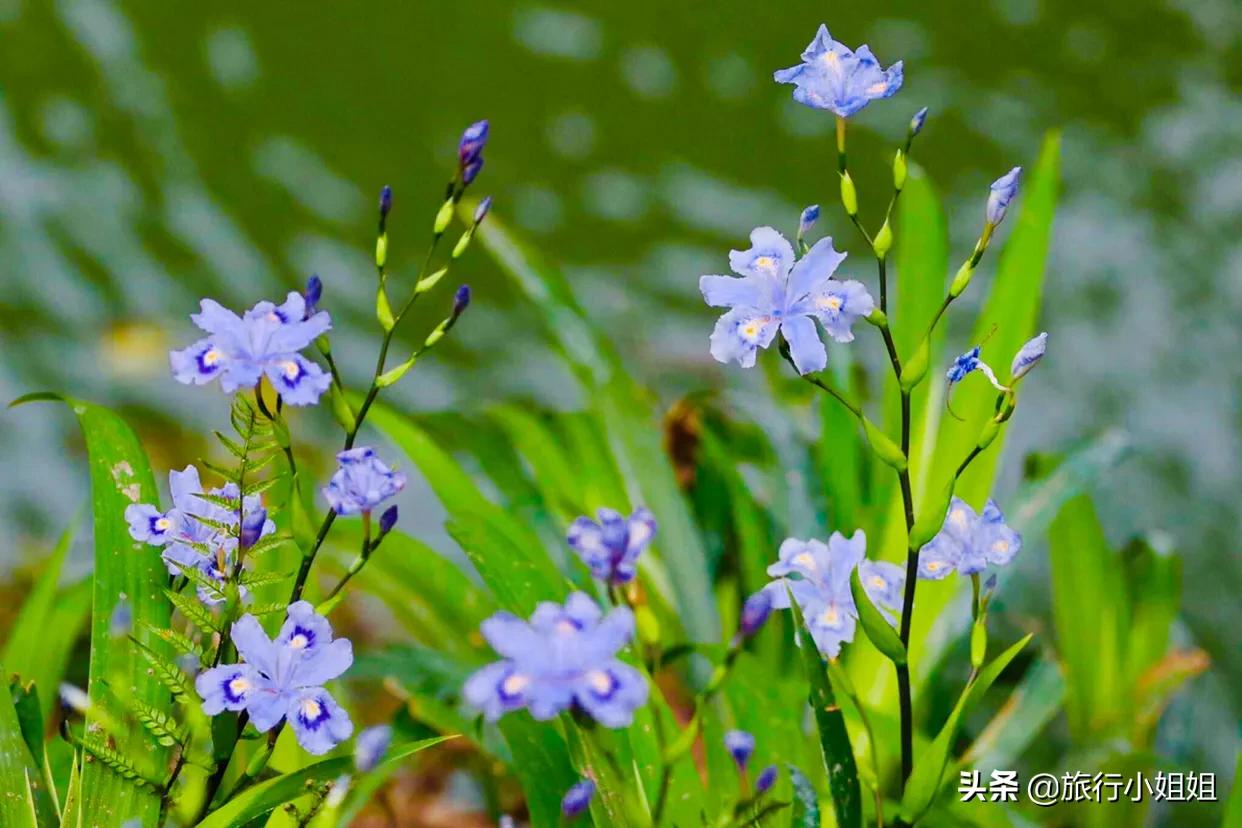 宜都大溪网红打卡点,宜都市网红打卡