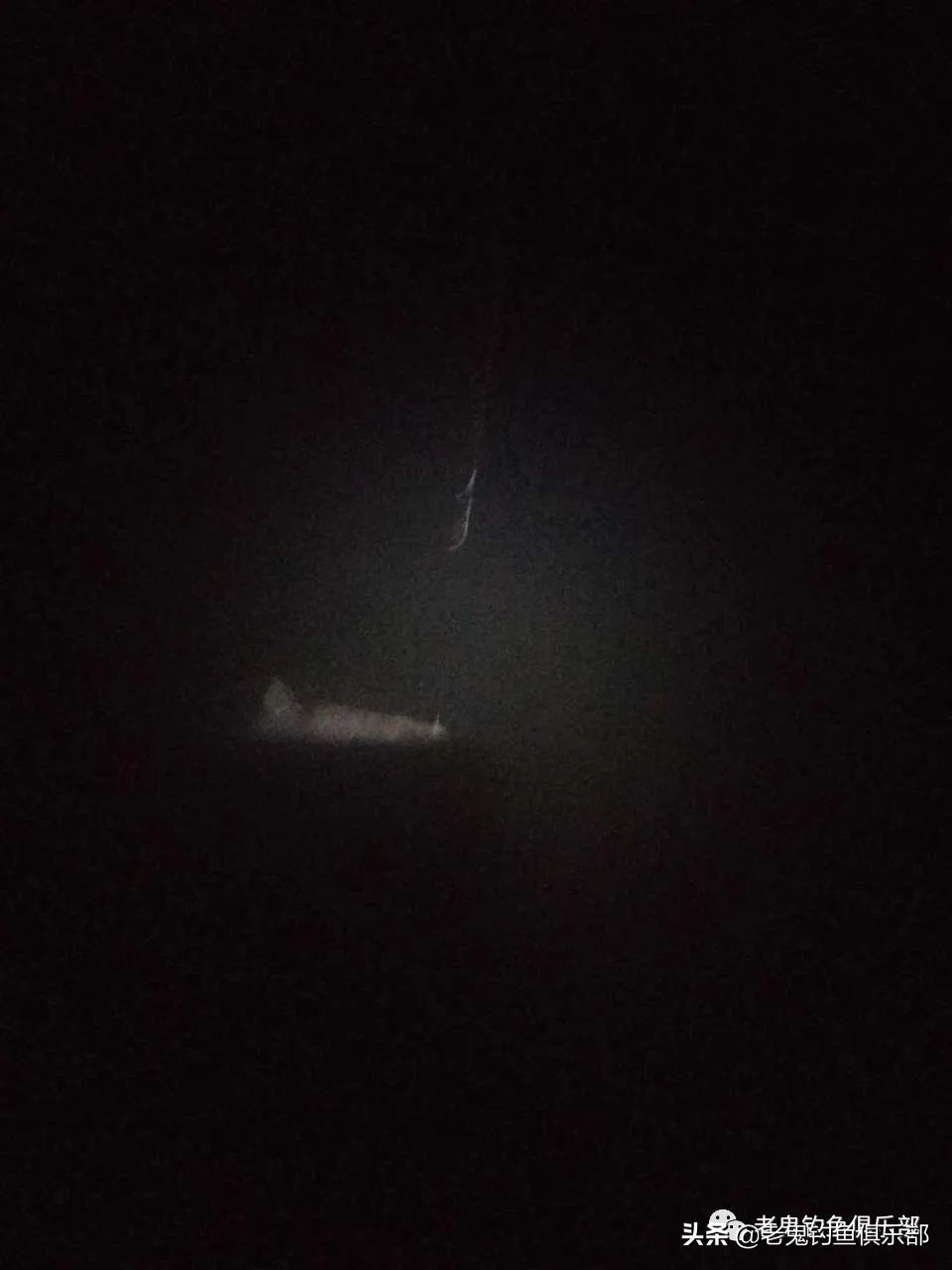 老鬼老三样用什么打窝,老鬼老三样速攻鲤鱼