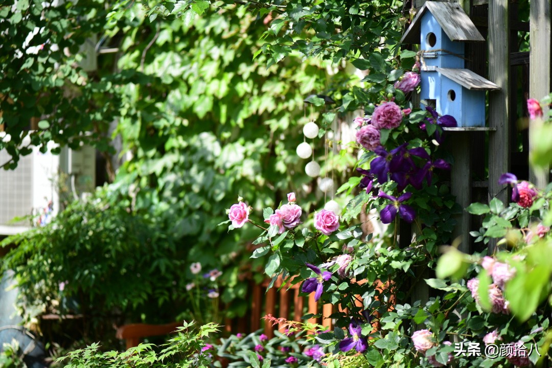 愿时光静止,愿时光静止在这一刻