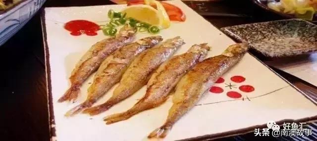 海鱼的做法大全家常视频,海鱼的30种家常做法收藏