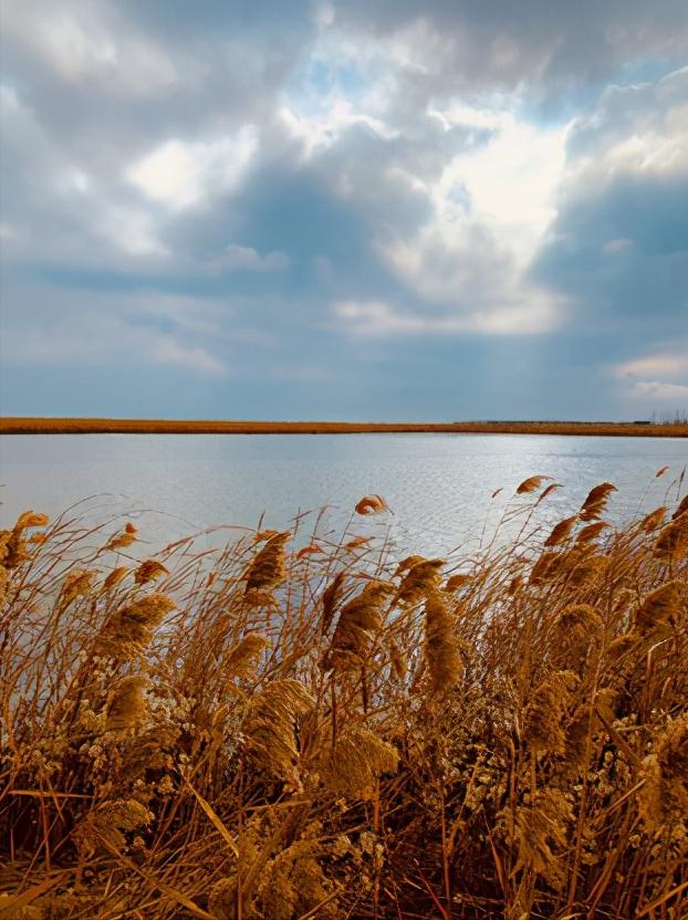 江苏省盐城市有哪些县和区,浅谈全国各省份