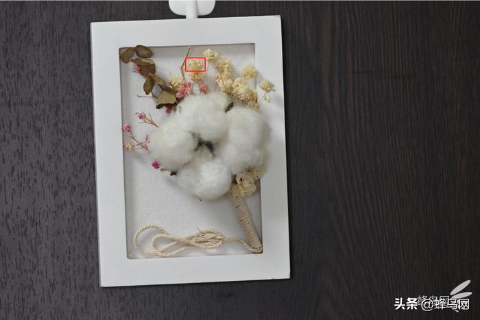 z卡口70-200f2.8尼康评测,尼康70200电磁炮镜头深度评测