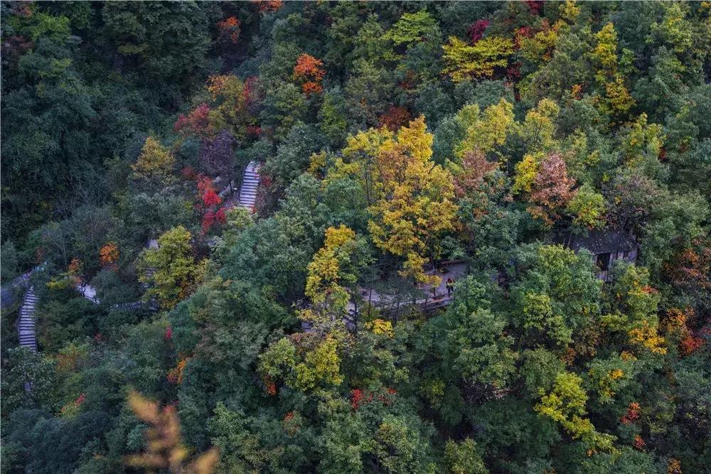 洛阳重渡沟景区夜景,洛阳重渡沟之山水篇