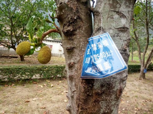 海丰莲花山仙人洞风景区,探索仙人洞