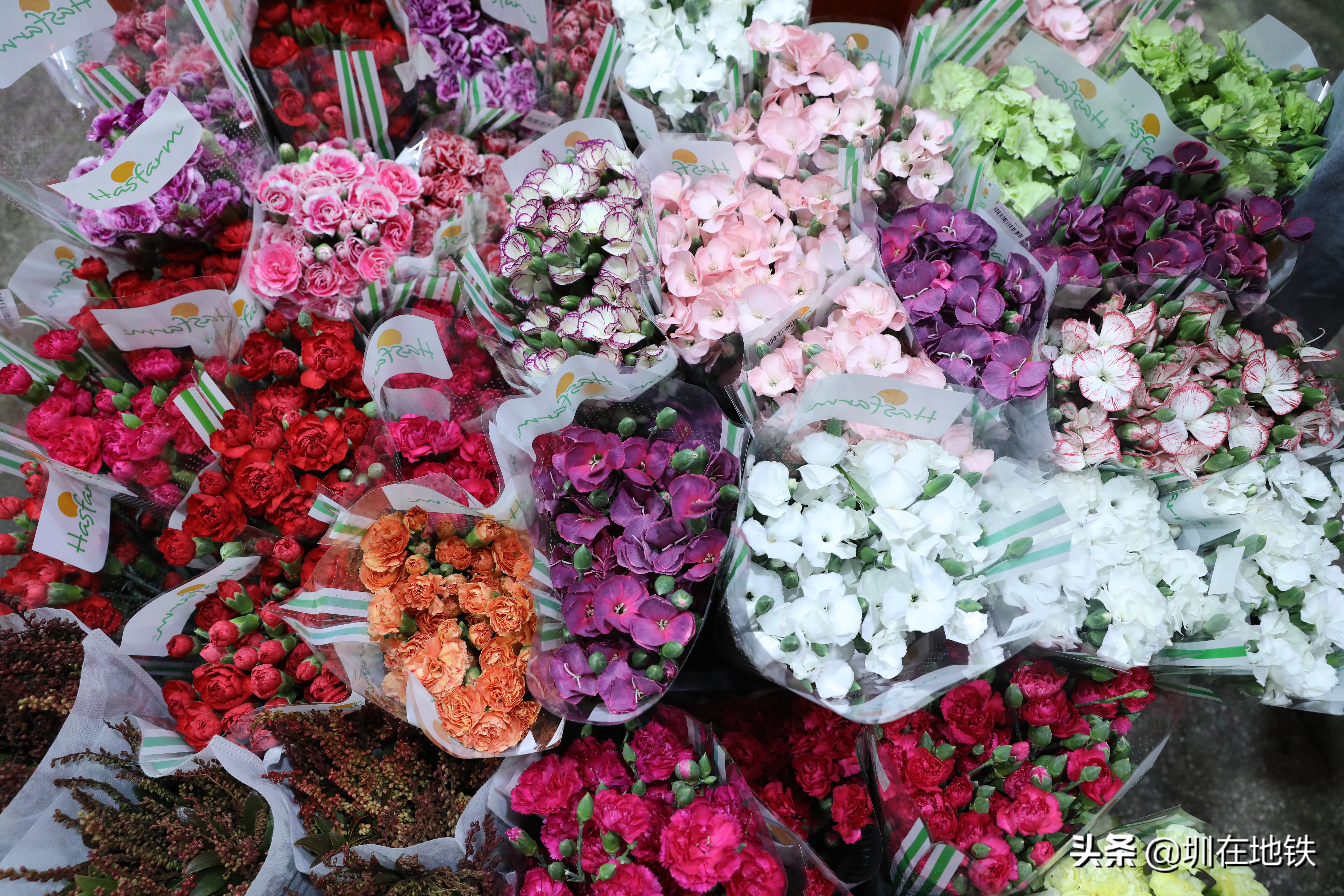 乘坐地铁到滘口花卉市场,从地铁到花卉市场