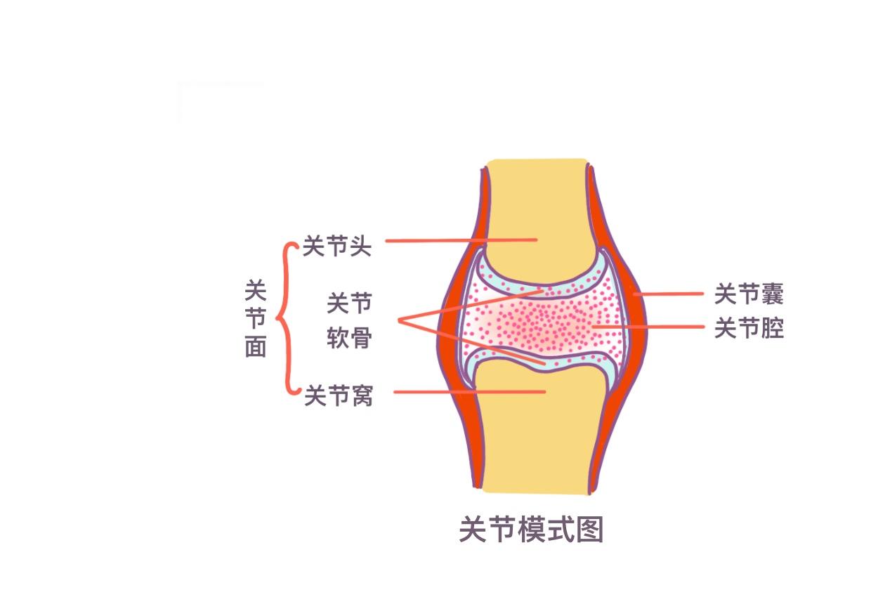 骨关节炎该如何做好日常护理工作,骨关节炎天气变化有什么反应