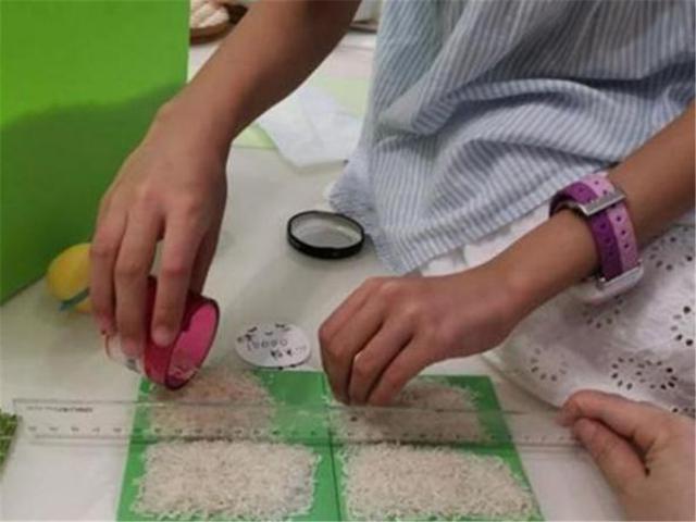 父母怎么给孩子最好的教育,最好的教育给孩子