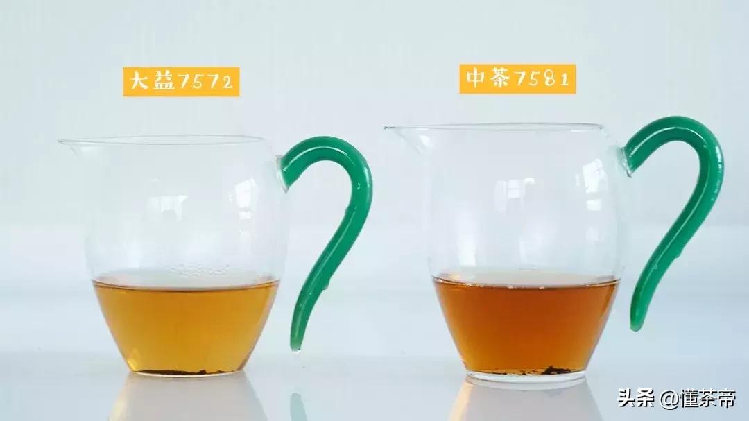 大益普洱茶推荐哪种,大益普洱茶哪个系列值得收藏