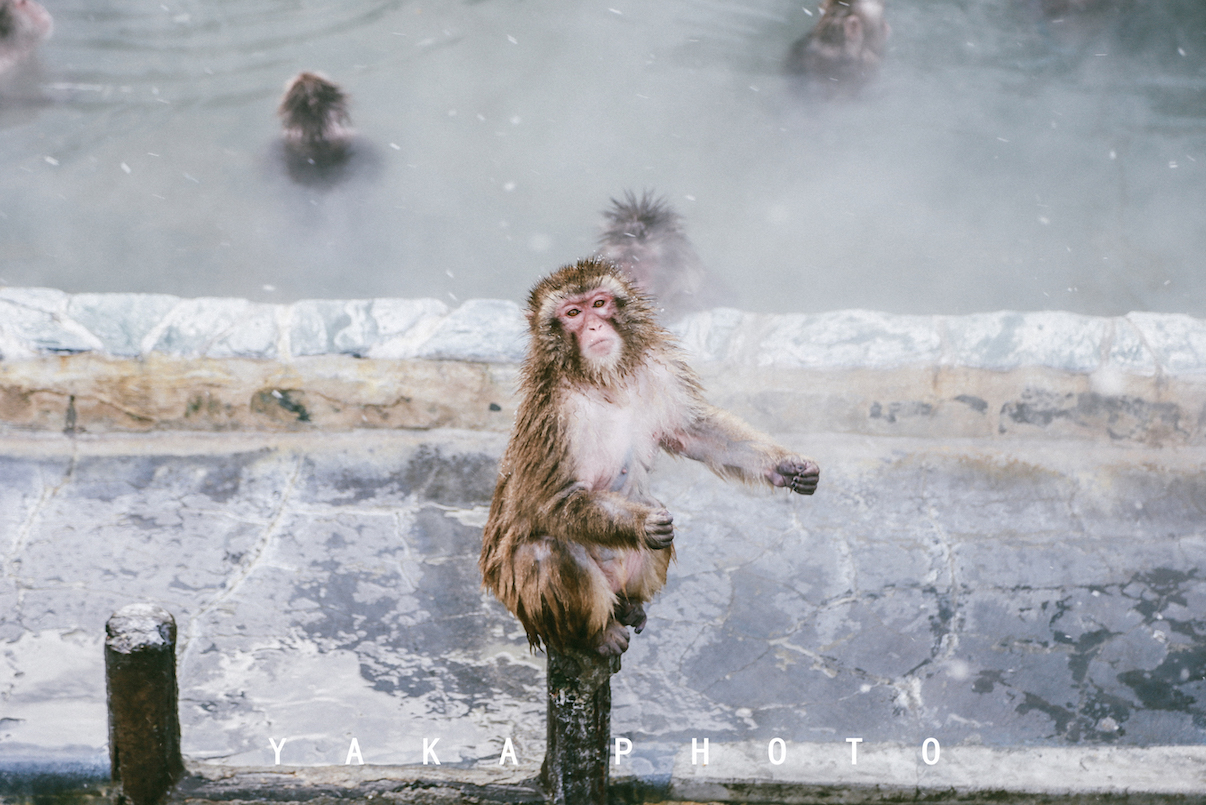 日本北海道函馆二日游自由行攻略,日本人最爱去哪里旅游