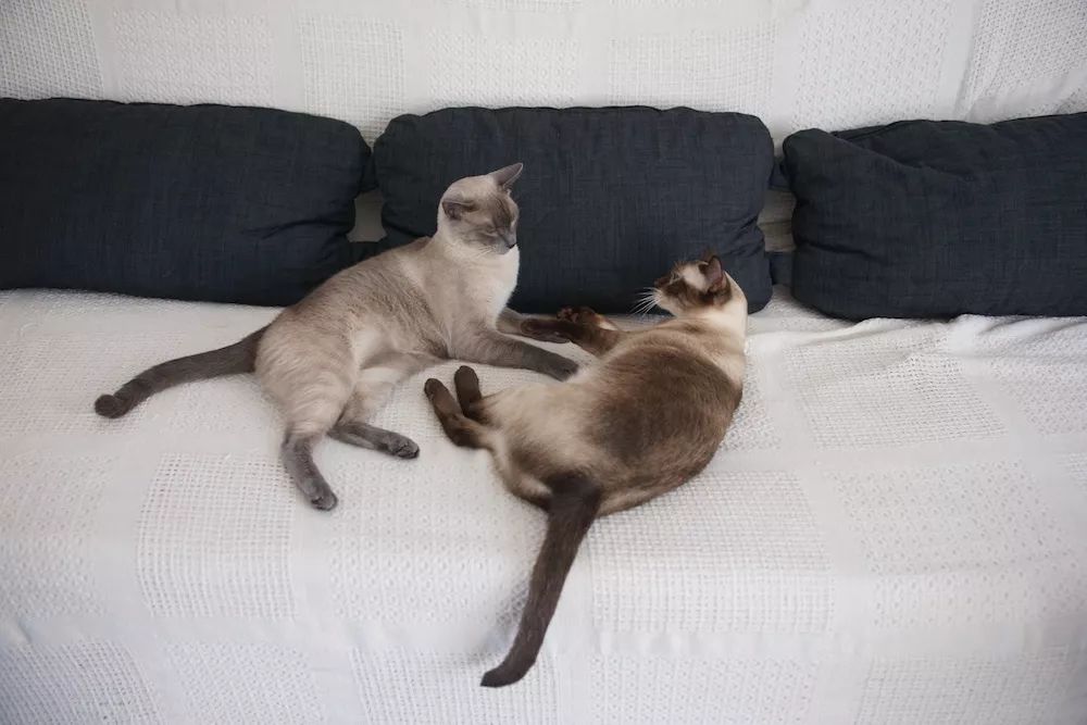 用水泥砌橱柜,用粘土做迷你橱柜