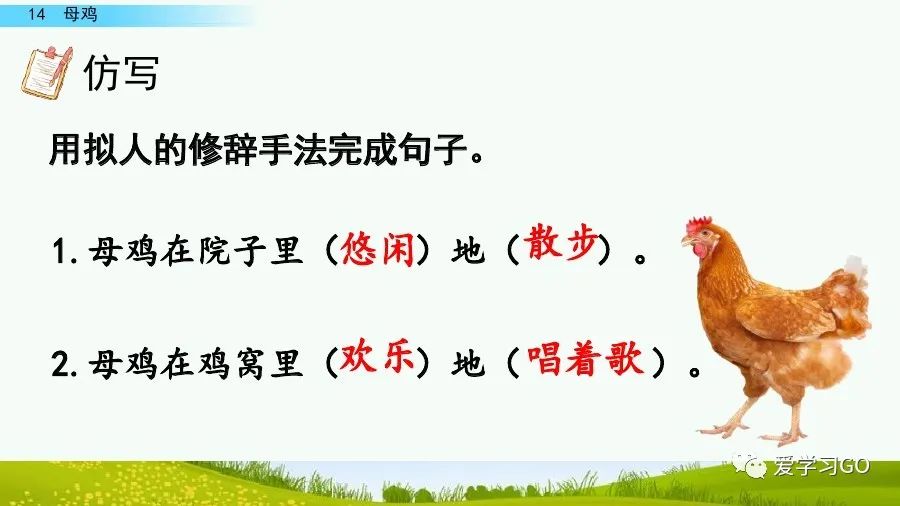 部编版四年级下册15课白鹅解析,部编版四下语文第13课母鸡预习