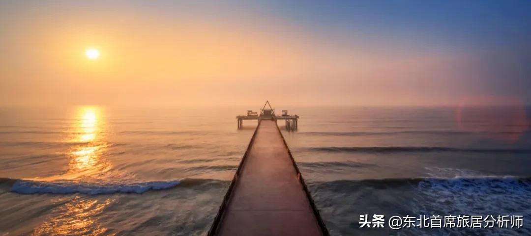 等三月阳春向海而行|“我在鼎龙湾，一切安好”