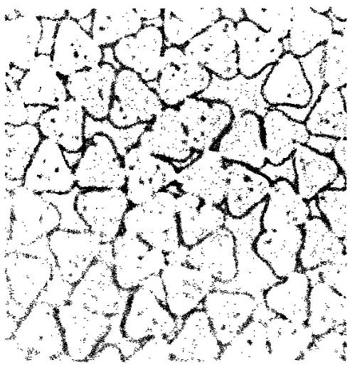 光滑柔软的聚酯纤维,聚酯纤维100%质地柔软