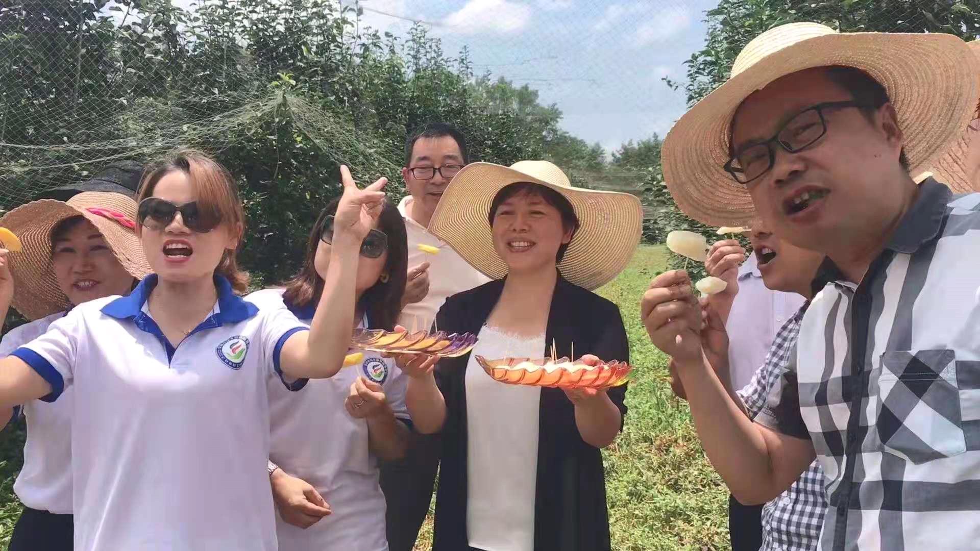 买5部手机注册5个微信号，常德女“村播”组团助农，滞销农产品成“网红”