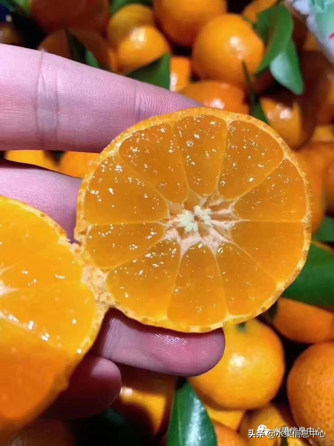 我国柑橘产区分布,柑橘产地行情