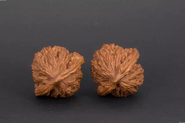 文玩核桃的100个常见问题,文玩核桃100个常见问题