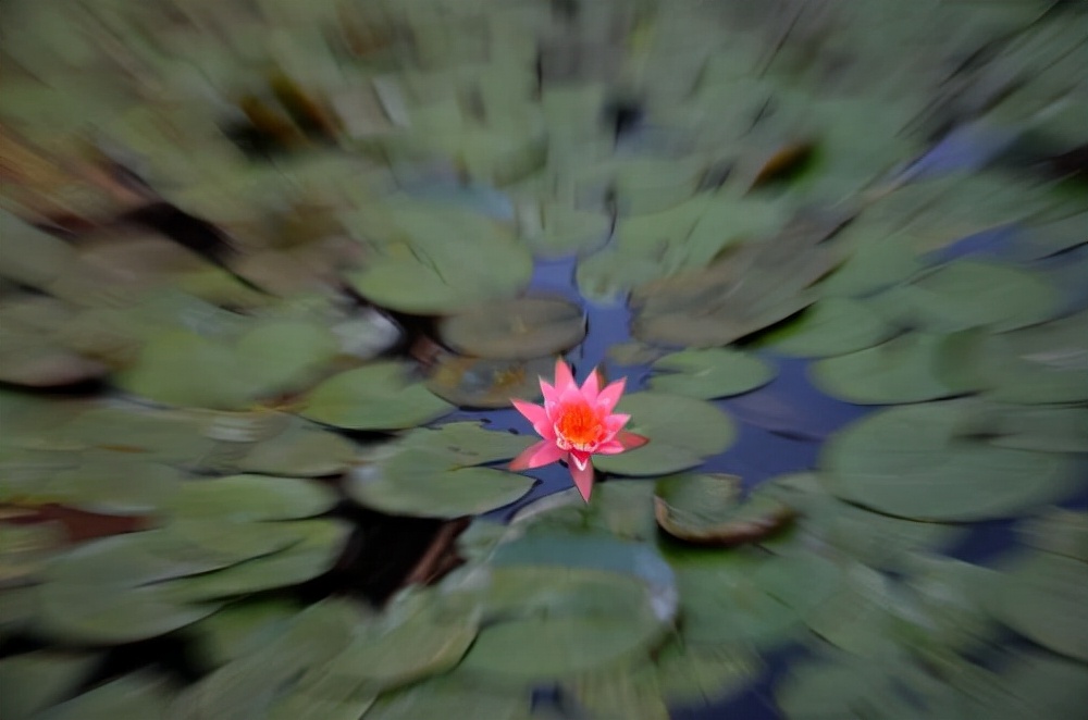 变焦手机摄影技巧,变焦摄影技巧视频教学