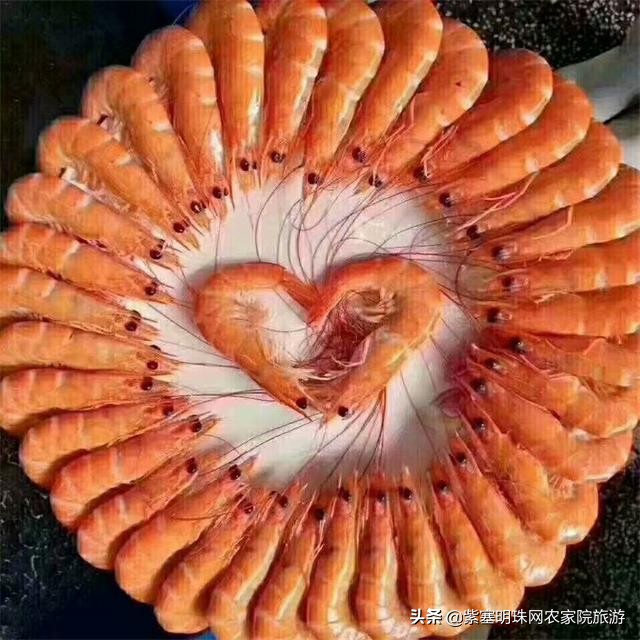 辽宁东戴河大鱼海棠海景农家院,绥中东戴河听海小院