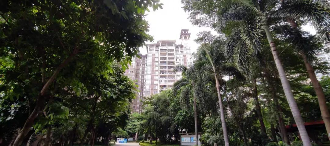 广州番禺越秀大学城星汇城踩盘,番禺踩盘