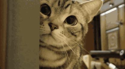 最快减肥方法一星期瘦10斤亲测,健康减肥30斤分享最有效减肥方法