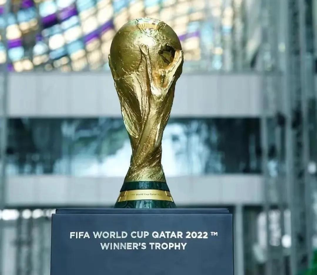 fifa游戏和国际足联,国际足联赚多少钱