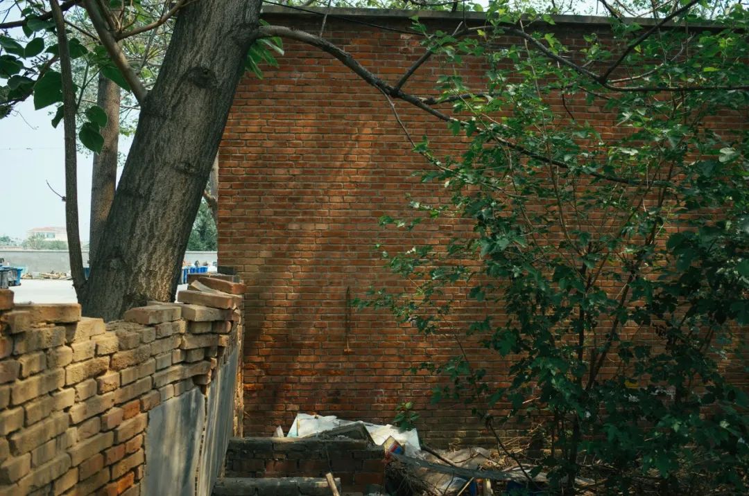 头痛短视频脚本如何创作?大V背后的5个方*论法**。