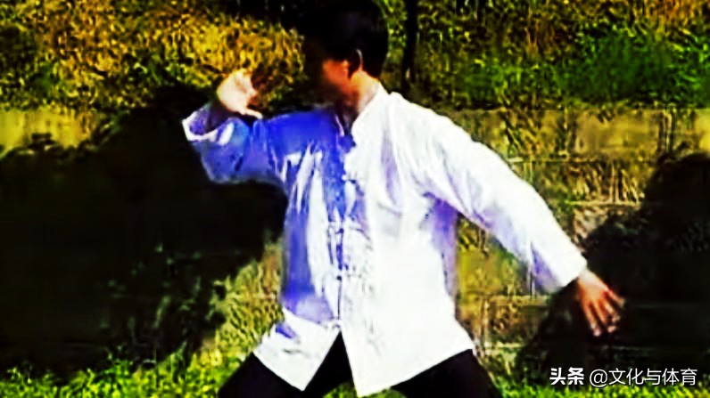 大成拳技击18法,大成拳八拿八打技击术视频