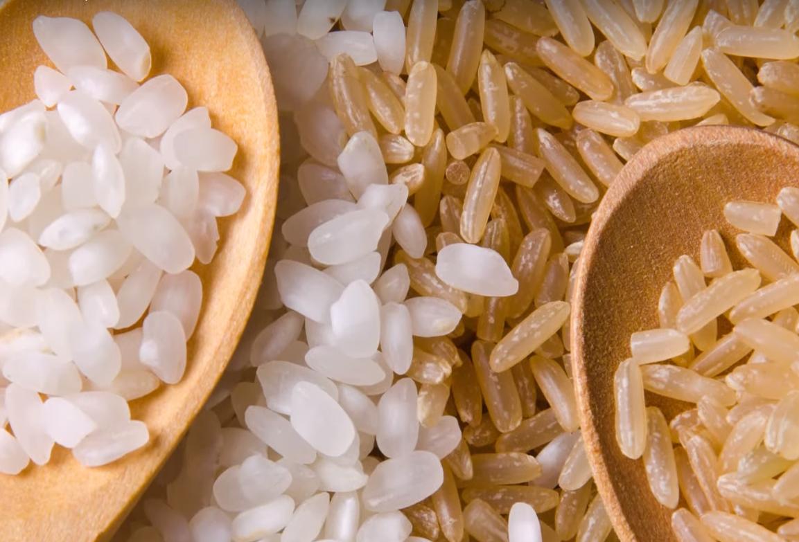 联合国:全球迎50年来最大粮食危机!我国谷物自给率已超95%