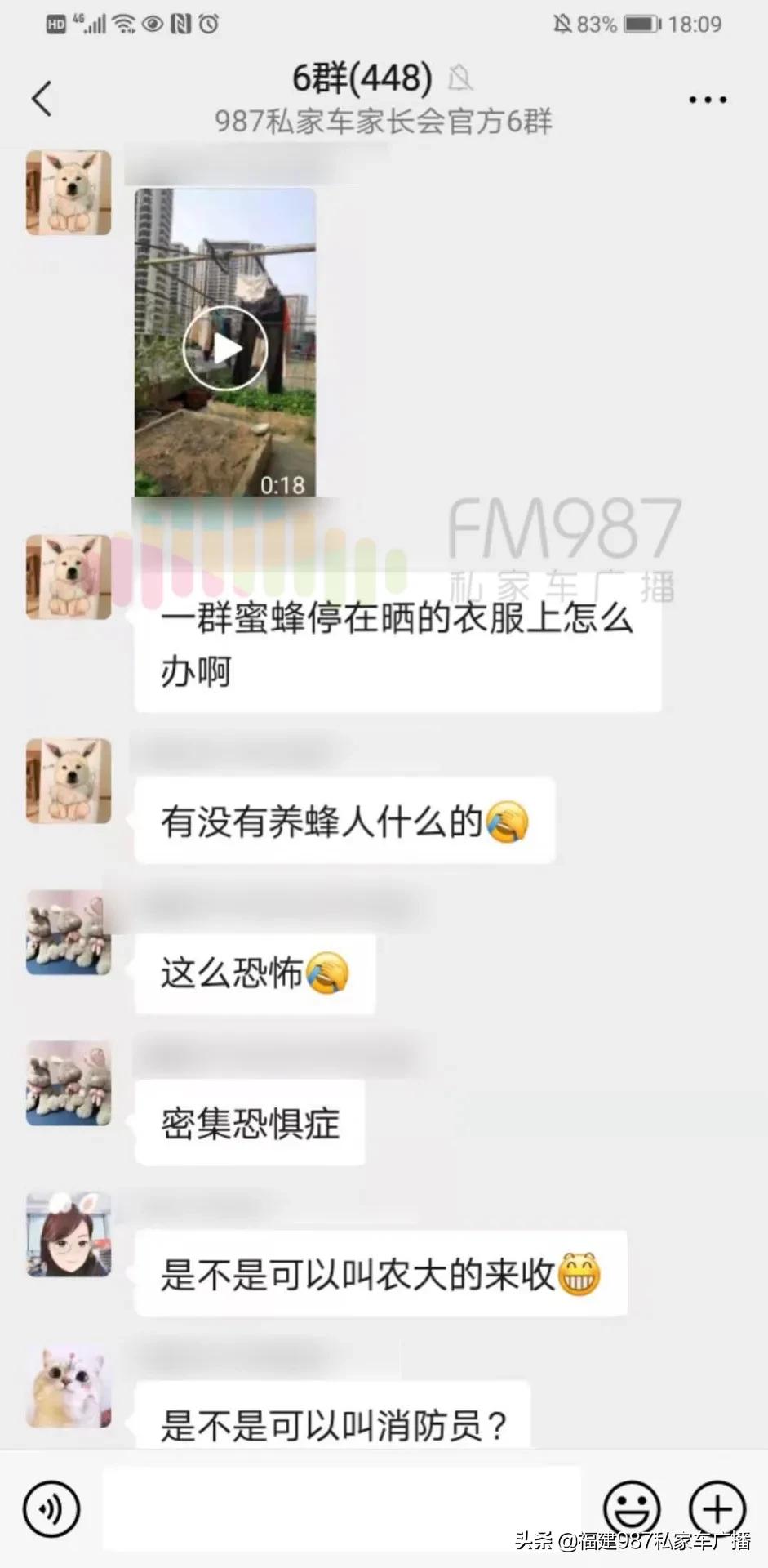 福州衣服爬满蜜蜂,福州市民晒一天衣服爬满蜜蜂