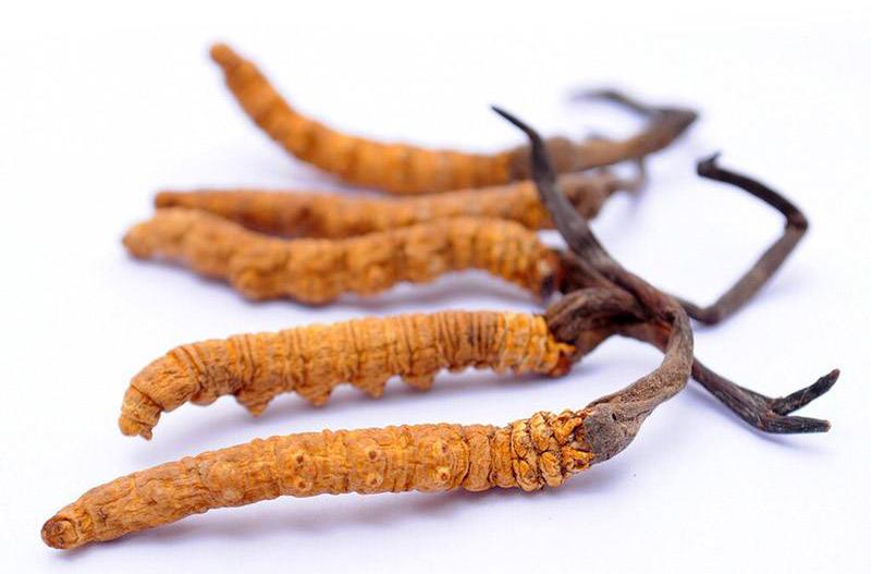 抗衰老用什么中药泡水喝最好呢,野山参抗衰老