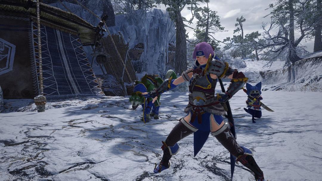 switcholed怪猎限定,怪猎switch几时出新的